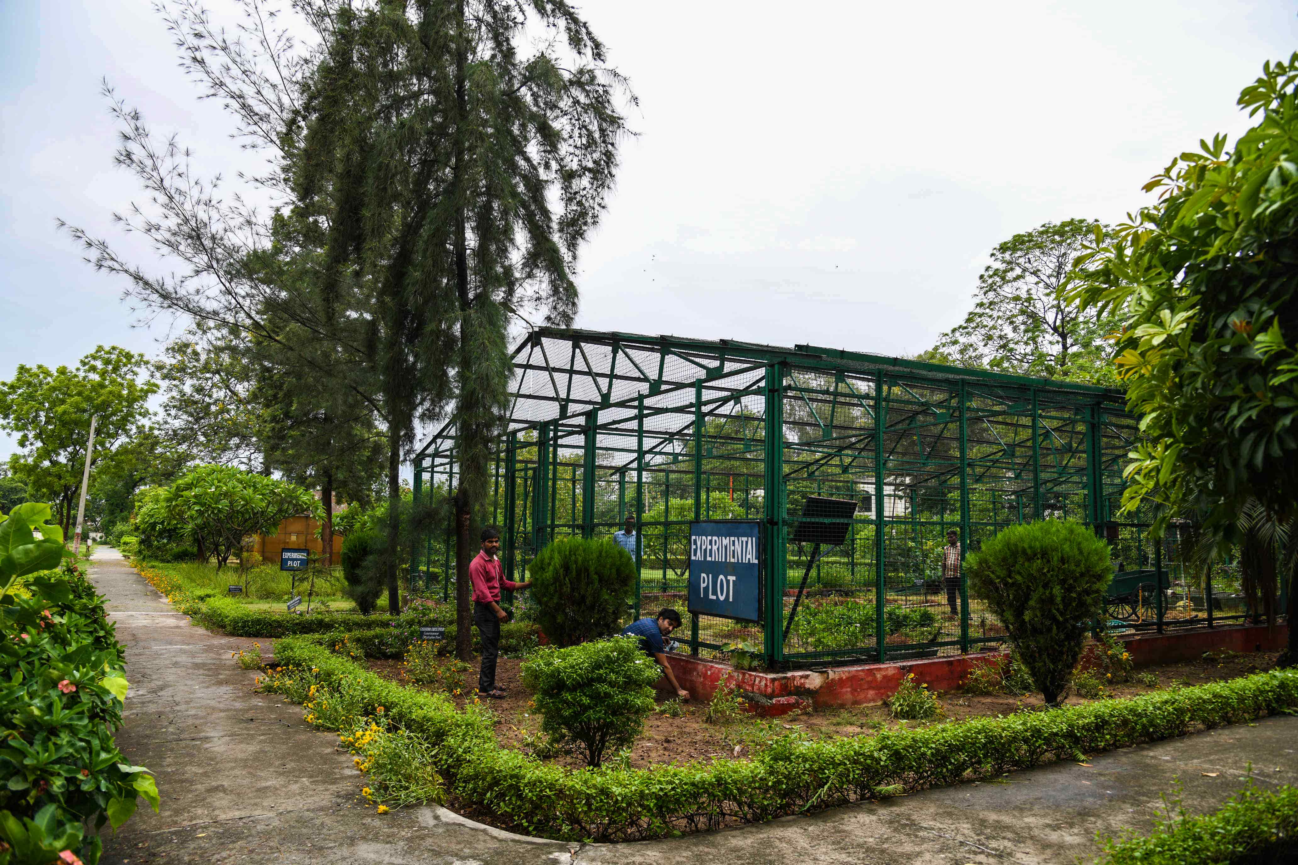 Botanical Garden MJPRU
